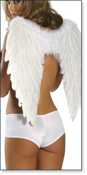 Angel Wings AA81250