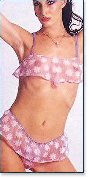 Bra & Panty 3091