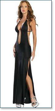 Floor Length Gown AA6013