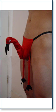 Men's Novelty g-string AA7417