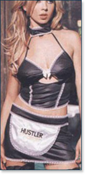 Maid of Money Costume AA9003