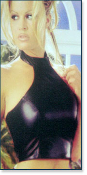 Leather Bustier  LVF-5013